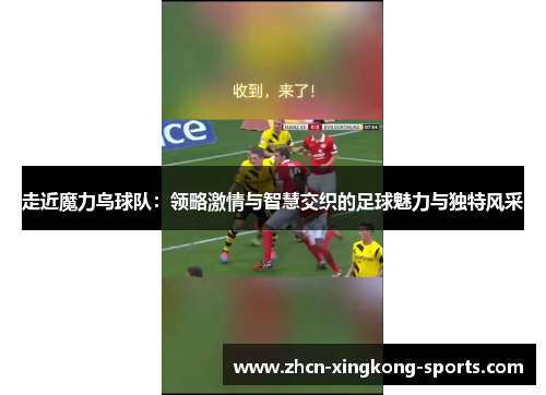 走近魔力鸟球队：领略激情与智慧交织的足球魅力与独特风采